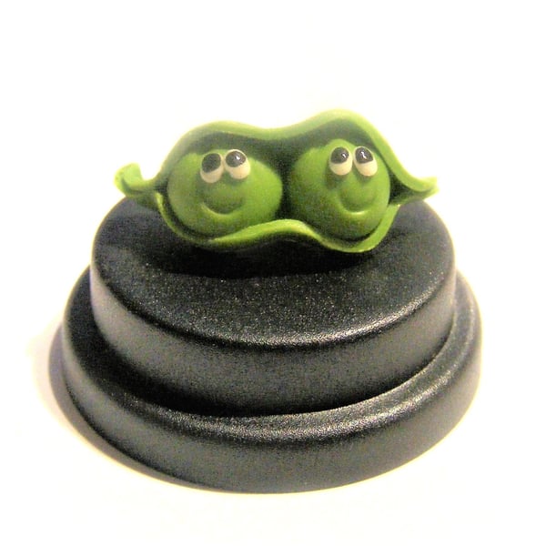 Pet Peas in a Pod,  Gift for best friend, Siblings gift, BFF gift, gift for twin