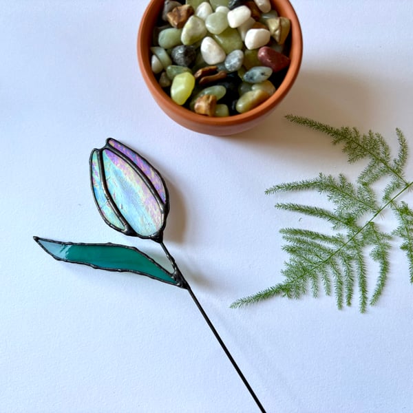 Iridescent white everlasting stained glass tulip in terracotta pot, easter gift 