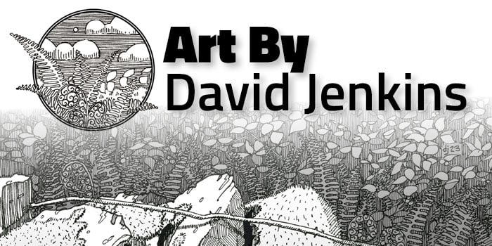 Art by David Jenkins