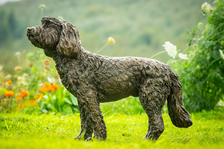 Standing Cockapoo Dog Statue Large Foundry Bronze Sculpture 
