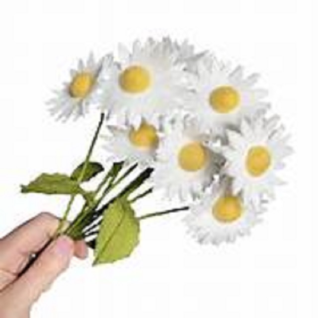 The Crafty Kit Company 'Oxeye Daisies' Felt Craft Kit