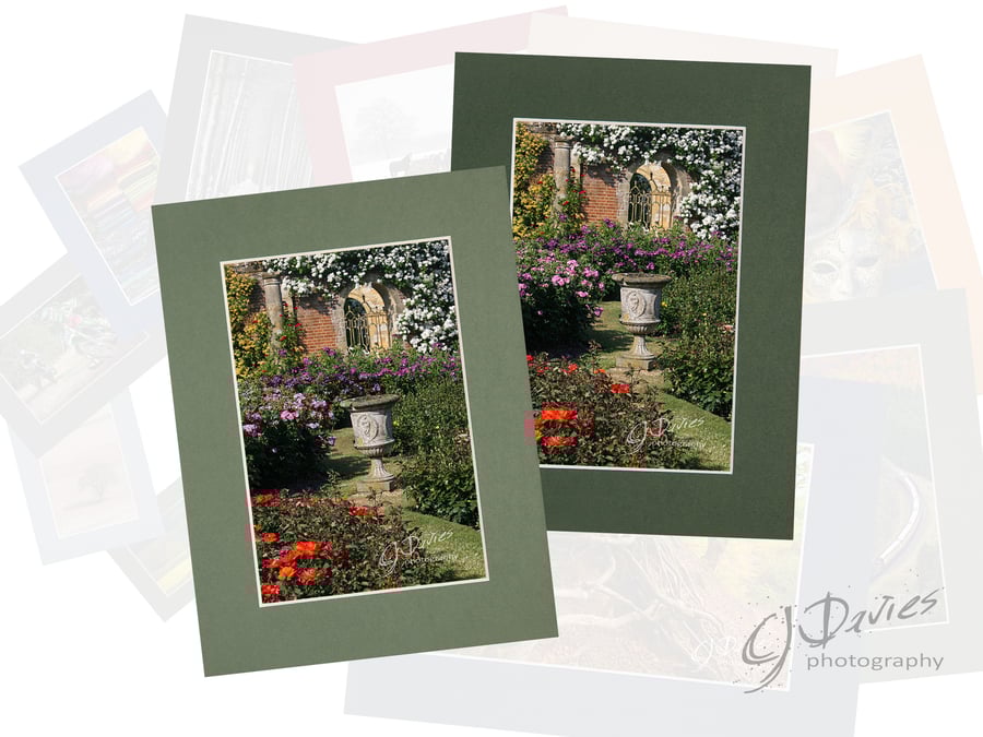 CJ110 - The rose garden