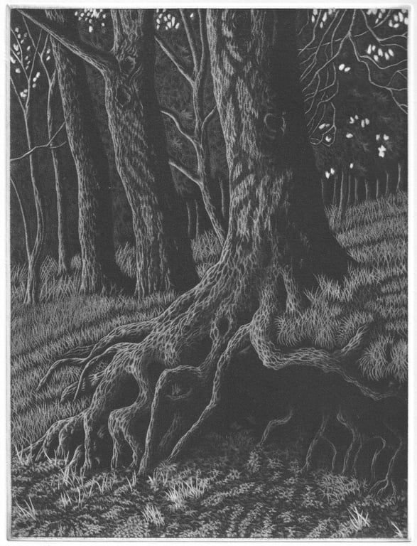 Sylvan Shadows