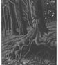 Sylvan Shadows - Image 1