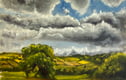 Oil paintings