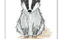 Animal Art Prints