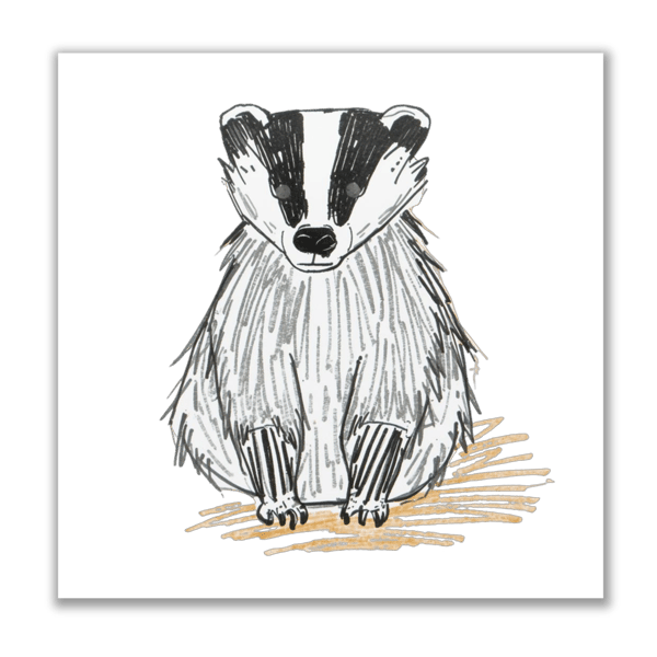 Badger Art Print Wall Decor Kids Style Drawing Square 12x12 