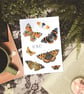 Butterfly Art Print - A5 size - Scottish wildlife illustration