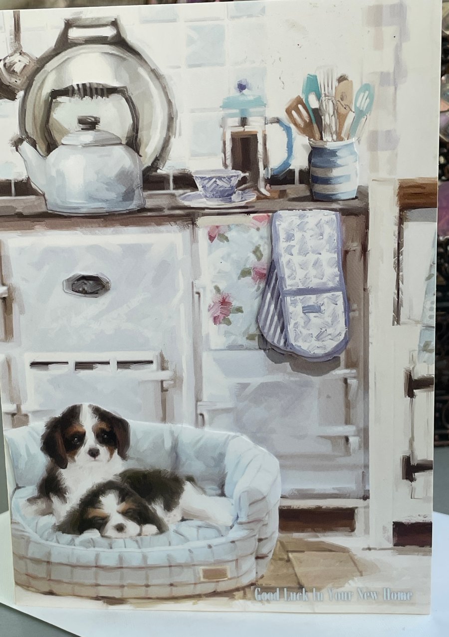 Cosy Spaniels in front of a range New Home card