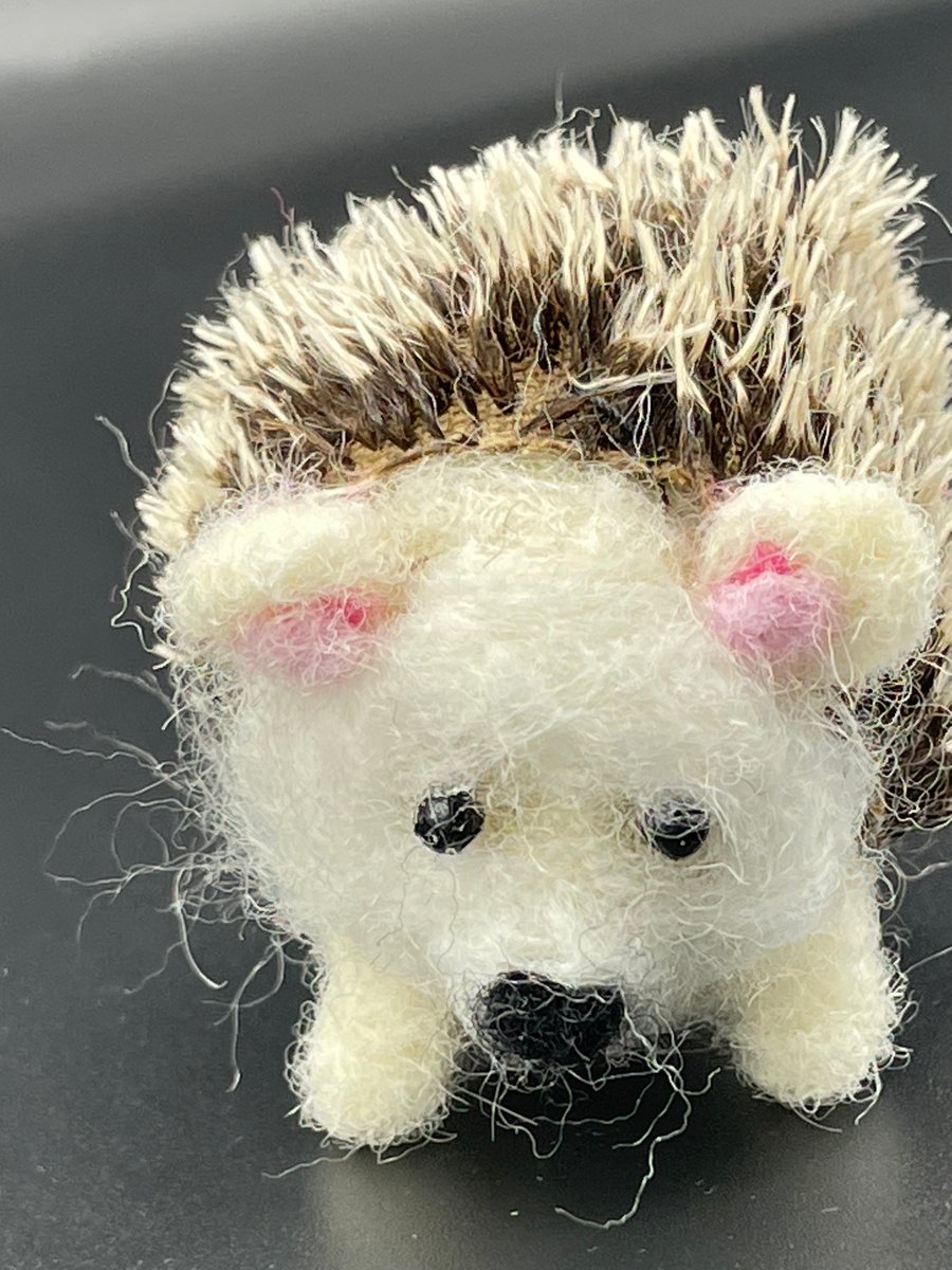 Needle Felted hedgehog - Folksy
