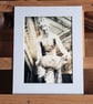 Replica Sculpture of Danaide, Royal Casino Murcia Spain, Archival Photo Print - Image 2