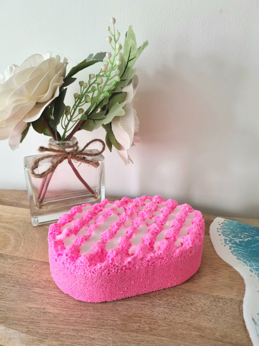 Raspberry Fizz Scented Exfoliating Soap Infused Sponge