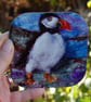 Puffin coaster - taken from my colourful artwork of puffins