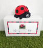 Luna Ladybird Crochet Kit - Image 2