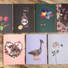 SECONDS SALE! Pack of 7 Greeting Cards