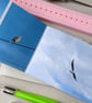 birds zine - Image 3