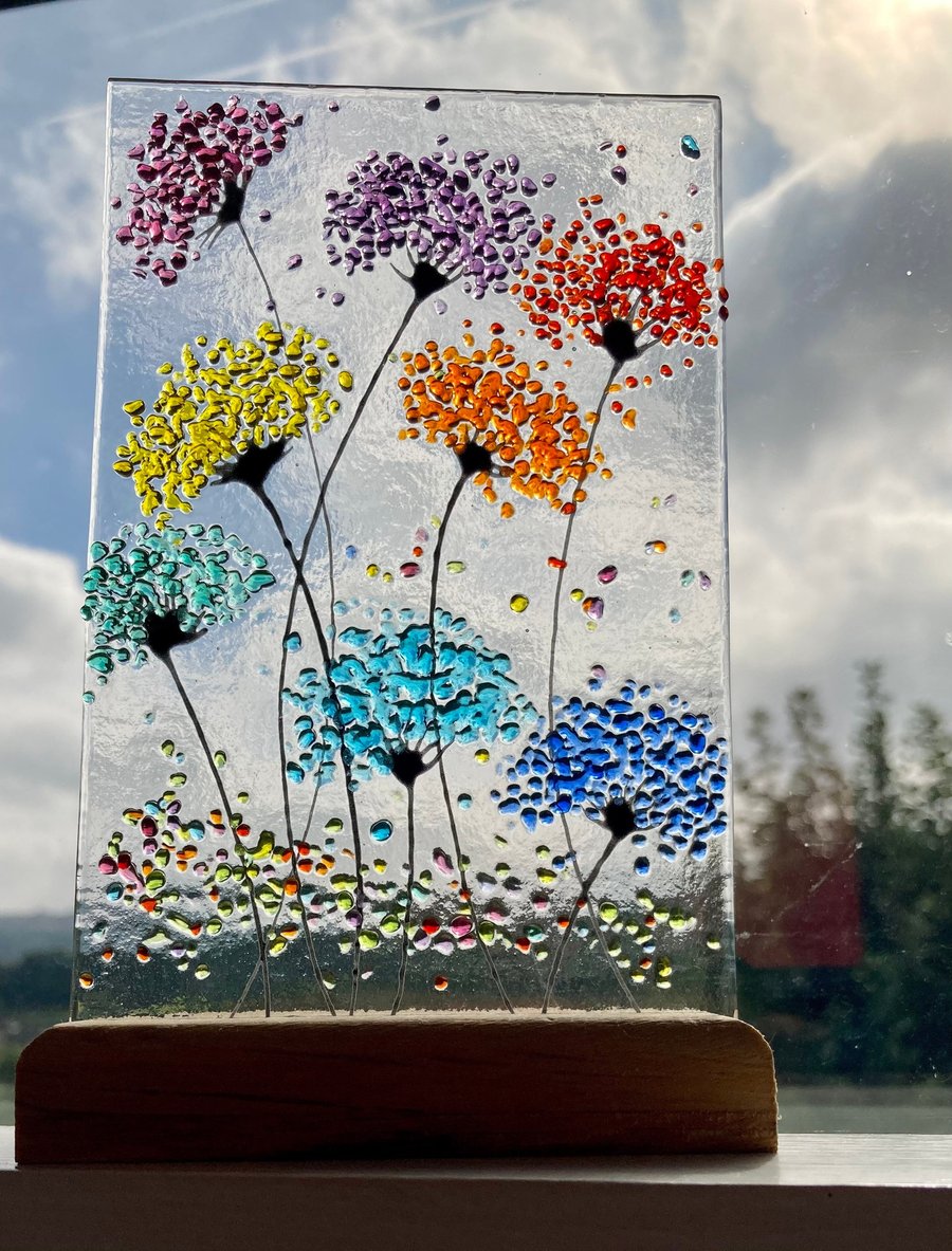Whimsical Cheerful Rainbow Allium Flower fused glass Art Picture Sun Catcher & W