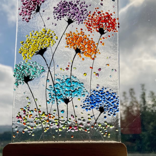 Whimsical Cheerful Rainbow Allium Flower fused glass Art Picture Sun Catcher & W