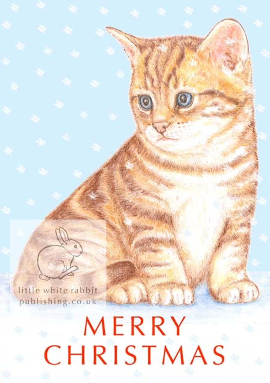 Timmy the Kitten - Christmas Card