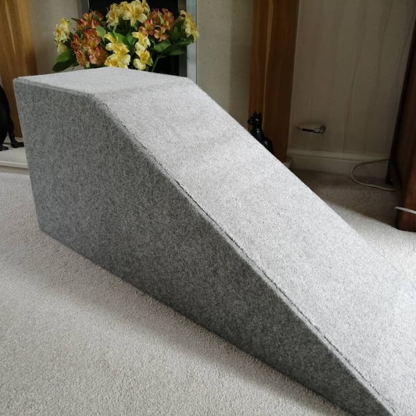40cm H x 100cm L Pet Ramp with Extended Top Platform for Nervous Pets