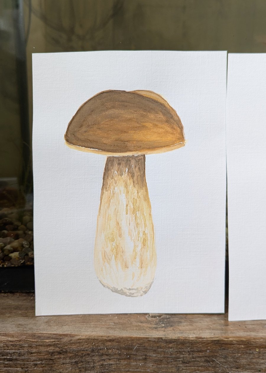 Set of 5 Watercolour Mushroom Paintings 