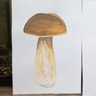 Set of 5 Watercolour Mushroom Paintings 