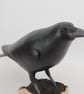 Crow  - Image 4