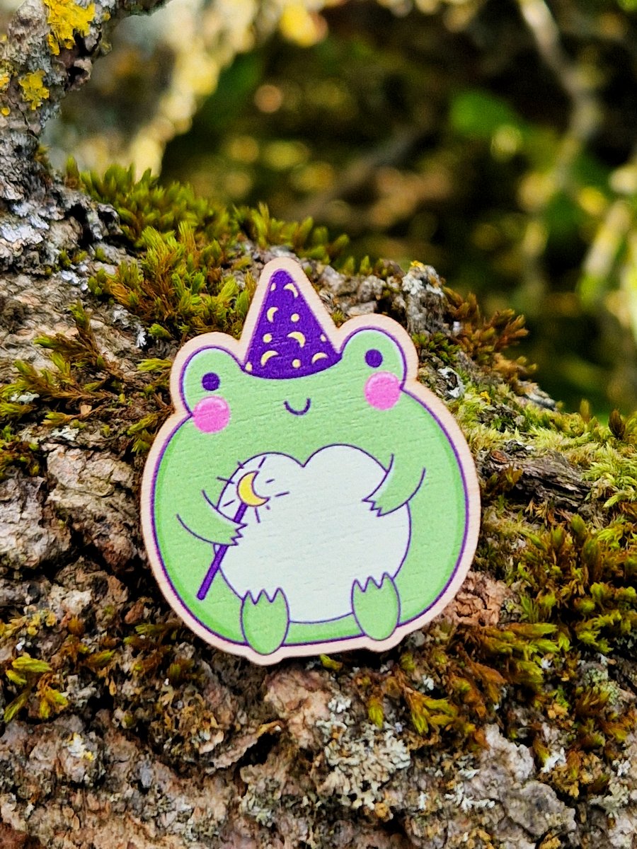 Frog pin, Frog Christmas gift, Wizard pin, Wizard Christmas Gift, Frog Brooch