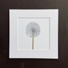 'Allium' 8" x 8" Mounted Print