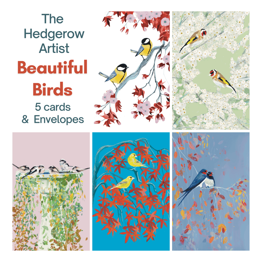 Bird card collection special offer