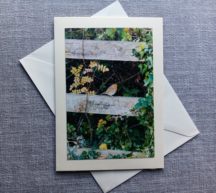 Winter Robin on Fence Large Photographic Card