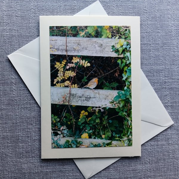 Winter Robin on Fence Large Photographic Card