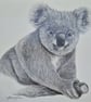 Koala (2021) - Image 2
