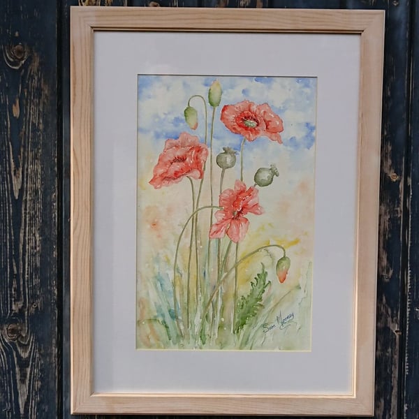 Red poppies watercolour painting in Norfolk
