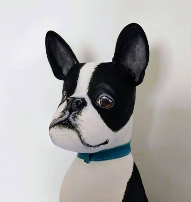 Boston Terrier 