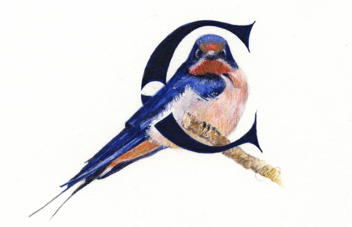 Illustrated letter 'C'