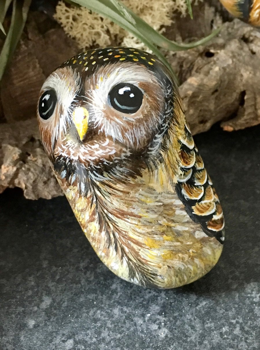 Owl hand painted pebble rock art 