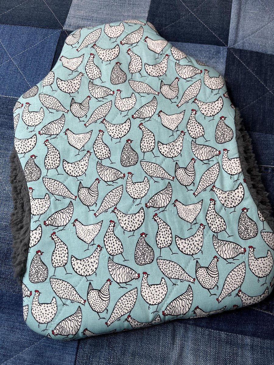 Hot Water Bottle Cover - Mint Chicken