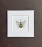 'Beejewelled' 5" x 5" Mounted Print 
