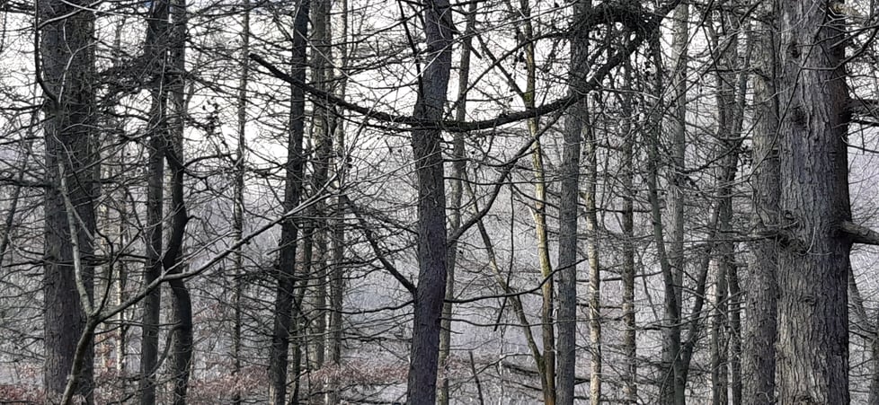 Beyond the field designs