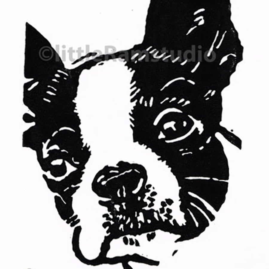 Boston Terrier Dog - Original Hand Pulled Linocut Print