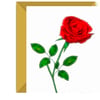 Red Rose, Birthday, Greeting Card