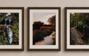 Out in the Countryside Wall Art