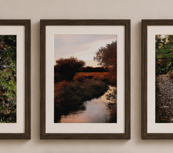 Dorset & Somerset Countryside Wall Art Print Set of 3 – Rustic Landscapes