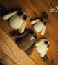 Owl babies  - Image 4