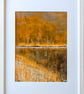 'Autumn Glow' Original A4 Framed Painting - Image 2