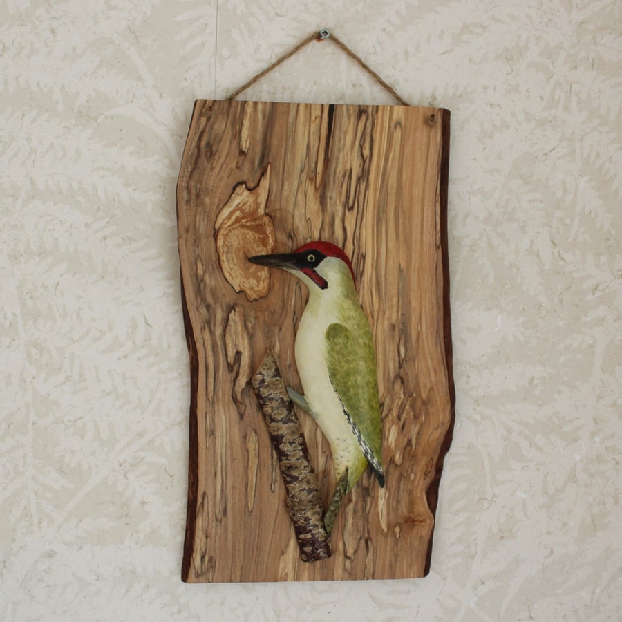 Green woodpecker on beech panel