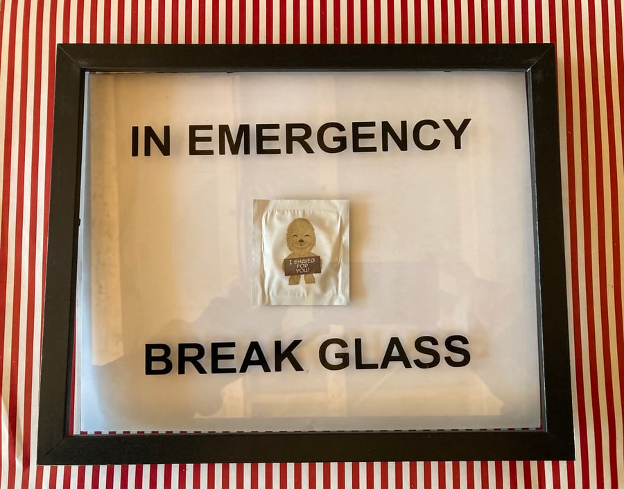 I shaved for you Wookiee condom emergency brake glass frame 