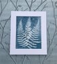 Fern Art, Botanical Art, Art for gardeners, Cyanotype Original Art. - Image 2