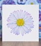 Daisy Blank Floral Card